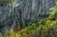 2014-08-02_06FritzPflaum-Steig (167).JPG